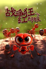 战争狂红蚂蚁