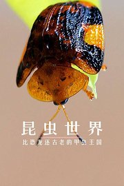 昆虫世界：比恐龙还古老的甲虫王国