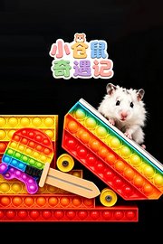 小仓鼠奇遇记
