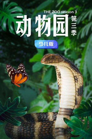 动物园第3季少儿版