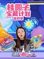桂圆子宝藏计划第4季