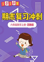 六年级数学期末复习冲刺苏教版上册