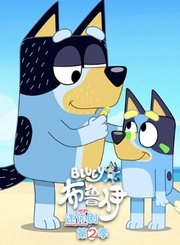 布鲁伊迷你剧第2季