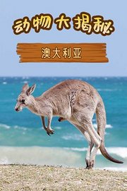 动物大揭秘之澳大利亚