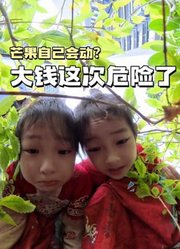 大钱小钱my的2026年合集