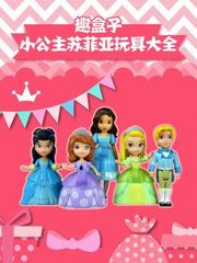 趣盒子小公主苏菲亚玩具大全