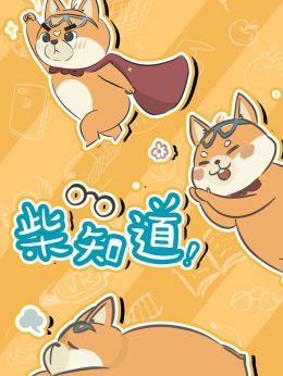 柴知道2018