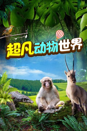 超凡动物世界