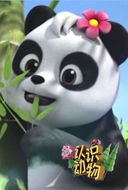 第3季认识动物：熊猫