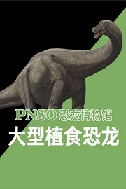 PNSO恐龙博物馆-大型植食恐龙