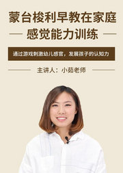 蒙台梭利早教在家庭-感觉能力训练