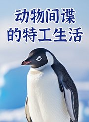 动物间谍的特工生活