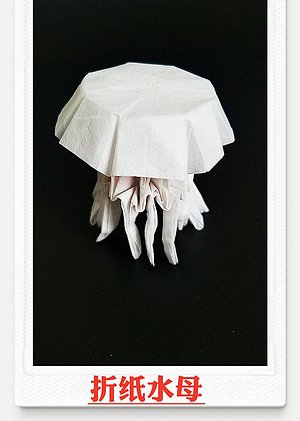 折纸王子教你水母