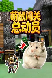 萌鼠闯关总动员