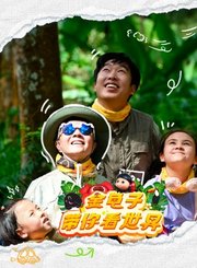 金龟子带你看世界