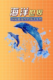 海洋世界：探秘最强悍的海洋生物