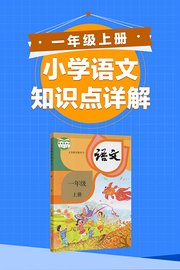 小学语文知识点详解一年级上册