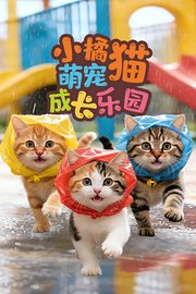 小橘猫萌宠成长乐园