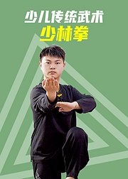 少儿传统武术少林拳