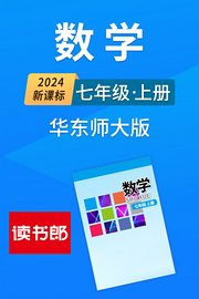 2024新课标数学七年级上册华东师大版