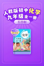 新课标人教版初中化学九年级全一册（五四制）