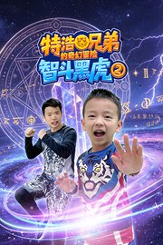 特浩兄弟的奇幻冒险：智斗黑虎第2季