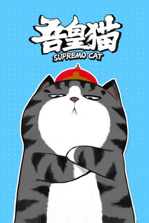 吾皇猫