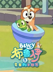 布鲁伊之宾果的小世界