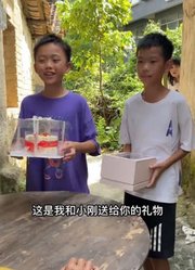 晴晴和朗朗（小卖部）的2025年合集