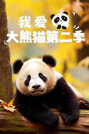 我爱大熊猫第2季