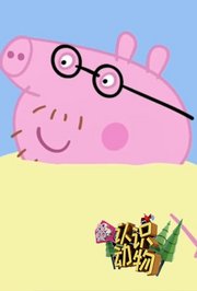 第3季认识动物：小猪