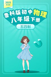 2025新改版鲁科版初中物理八年级下册五四制