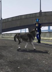 用户@194686d44000c0的2026年合集2