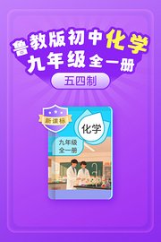 新课标鲁教版初中化学九年级全一册（五四制）