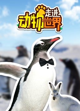 走进动物世界