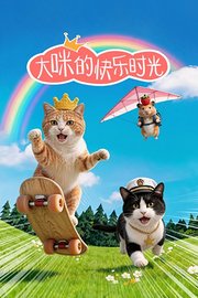 大咪的快乐时光