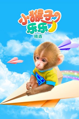 小猴子乐乐精选