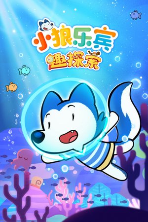 小狼乐宾趣探索
