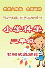 小学科学二年级同步课堂知识点全解析