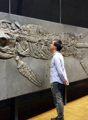 新东方kids古生物博士带你从病毒看进化论