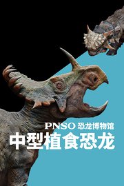 PNSO恐龙博物馆-中型植食恐龙