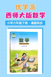 优学派西师大版数学·小学六年级下册·课程同步