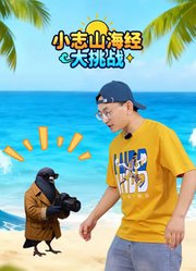 小志山海经大挑战