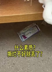风筝爱玩具的2026年合集