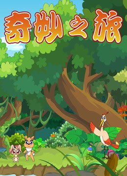 奇妙之旅