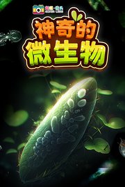 超级镜头：神奇的微生物