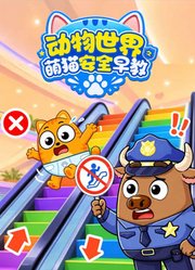 动物世界之萌猫安全早教