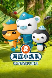 海底小纵队神奇动物大发现