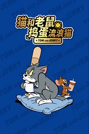 猫和老鼠捣蛋流浪猫