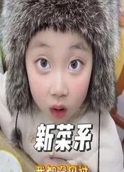 于兜兜的2024年合集